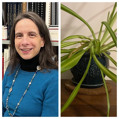 Ellen Millar, Archivist (Corporate & Municipal Records Archivist) and her spider plant.